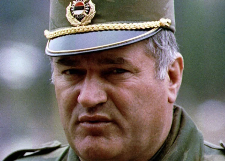 Foto: Shutterstock.com/Northfoto, arhiva