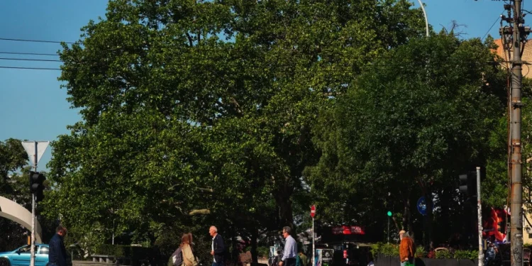 Foto: TANJUG/VLADIMIR ŠPORČIĆ