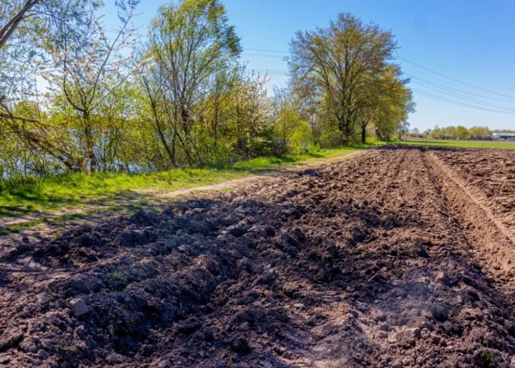 Foto: Shutterstock.com/Foto Para Ti, ilustracija