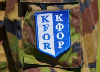 Foto: shutterstock.com/Michael Derrer Fuchs, ilustracija