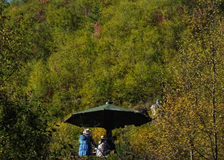Foto: TANJUG/VLADIMIR ŠPORČIĆ