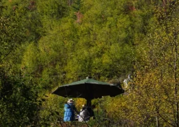 Foto: TANJUG/VLADIMIR ŠPORČIĆ