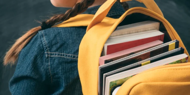 Foto: Shutterstock.com/Golubovy, ilustracija