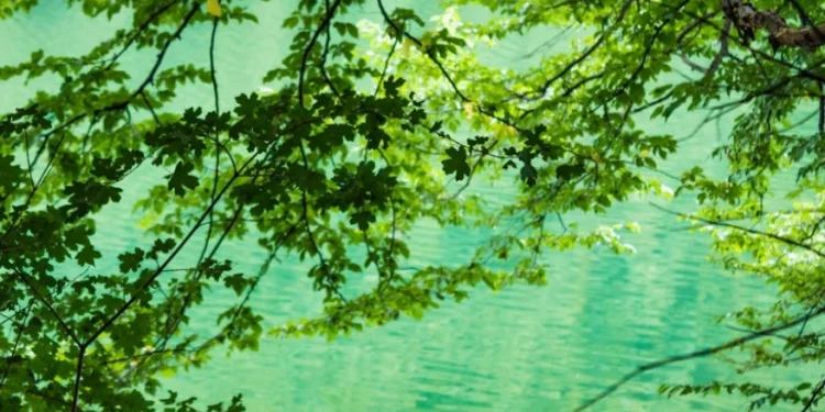 Foto: Shutterstock.com/Bada1, ilustracija