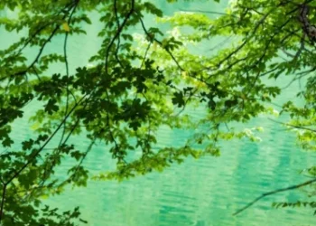 Foto: Shutterstock.com/Bada1, ilustracija