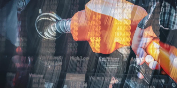 Foto: Shutterstock.com/kuruneko, ilustracija