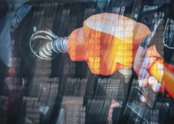 Foto: Shutterstock.com/kuruneko, ilustracija