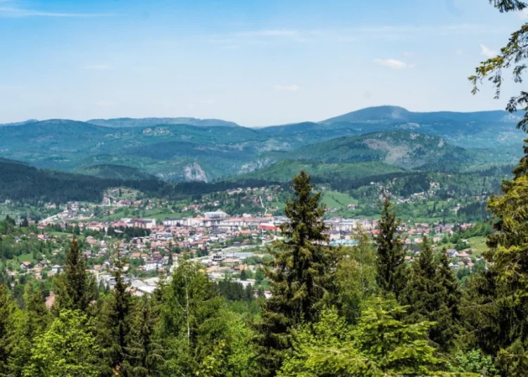 Foto: Shutterstock.com/Cooper WIlton, ilustracija