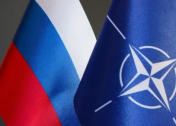 Foto: Shutterstock.com/Vitalii Vodolazskyi, ilustracija