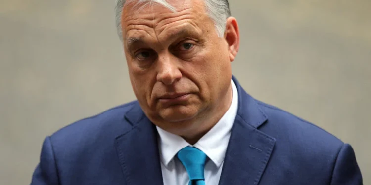 Foto: Shutterstock.com/I T S, arhiva