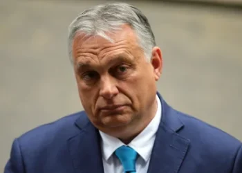 Foto: Shutterstock.com/I T S, arhiva