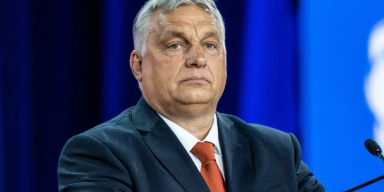 Foto: Shutterstock.com/ lev radin, arhiva