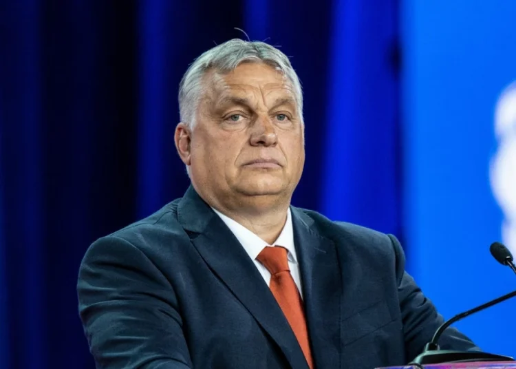 Foto: Shutterstock.com/ lev radin, arhiva