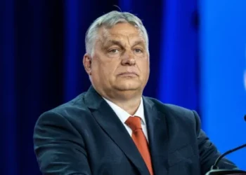 Foto: Shutterstock.com/ lev radin, arhiva