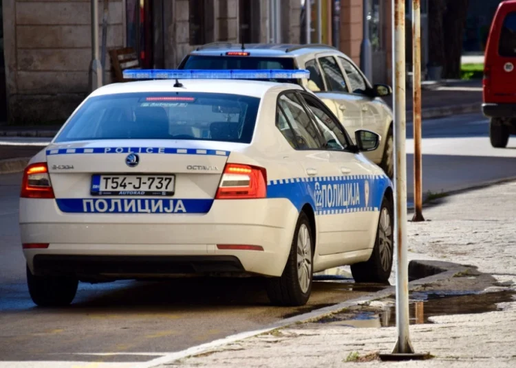 Foto: Shutterstock.com/Andy Sutherland, ilustracija