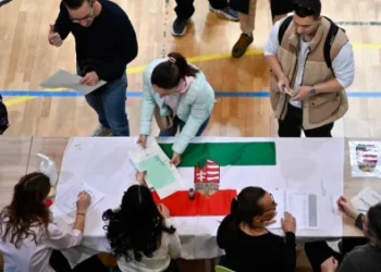 Foto: AP Photo/Denes Erdos