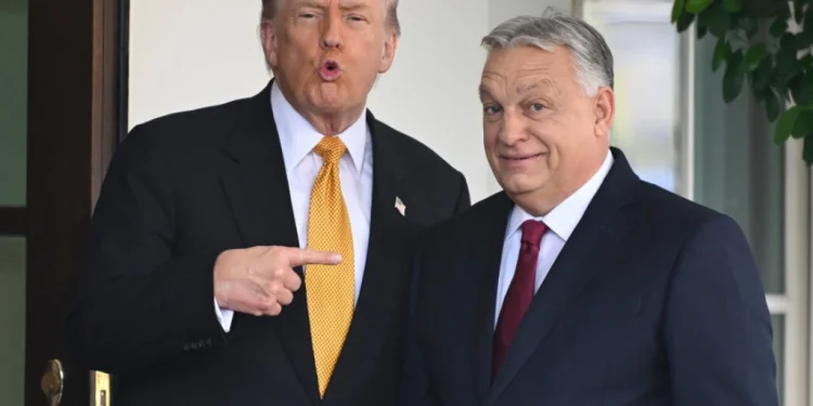 Foto: AP Photo,File/John McDonnell