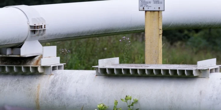 Foto: Shutterstock.com/Sodel Vladyslav, ilustracija