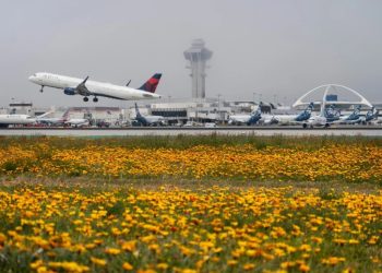 Foto: AP Photo, File/Damian Dovarganes