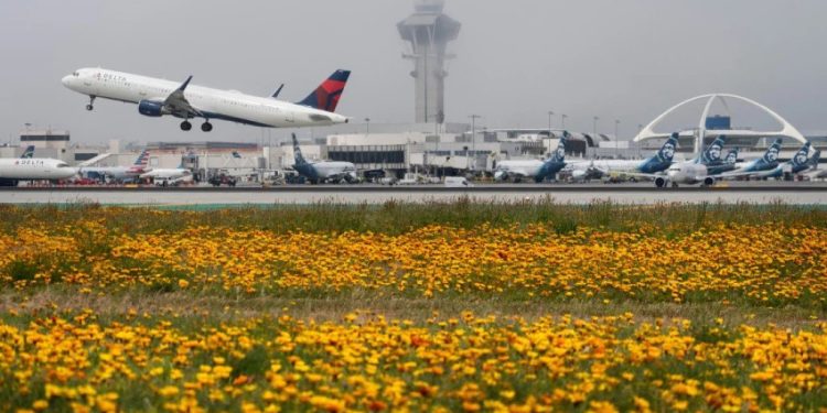 Foto: AP Photo, File/Damian Dovarganes