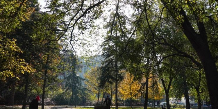 Foto: TANJUG/VLADIMIR ŠPORČIĆ