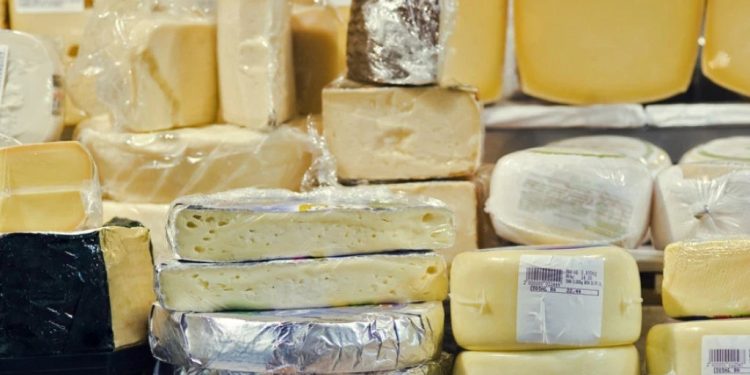 Foto: Shutterstock.com/Ricardo de Paula Ferreira