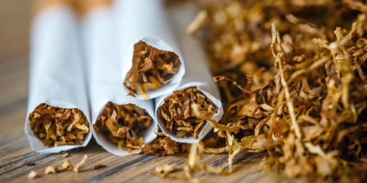 Foto: Shutterstock.com/Dziewul, ilustracija