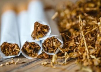 Foto: Shutterstock.com/Dziewul, ilustracija