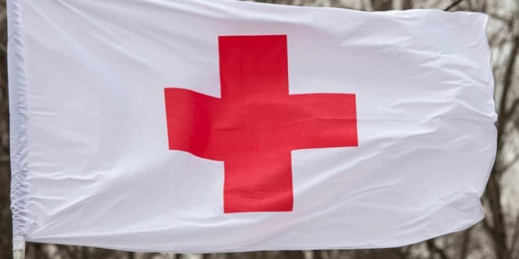 Foto: Shutterstock.com/paparazzza, ilustracija