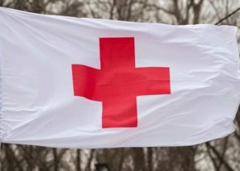 Foto: Shutterstock.com/paparazzza, ilustracija