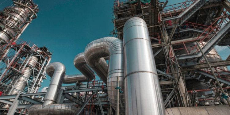 Foto: Shutterstock.com/noomcpk, ilustracija