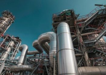 Foto: Shutterstock.com/noomcpk, ilustracija