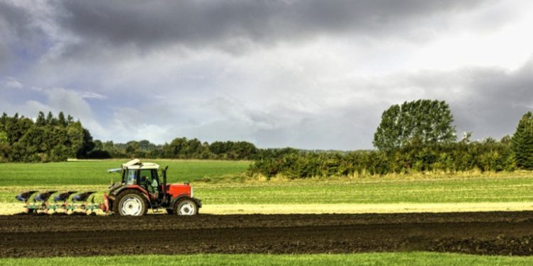 Foto: Shutterstock.com/Frank Bach, ilustracija