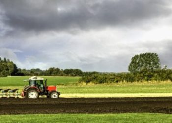 Foto: Shutterstock.com/Frank Bach, ilustracija