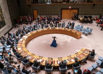 Foto: Shutterstock.com/lev radin