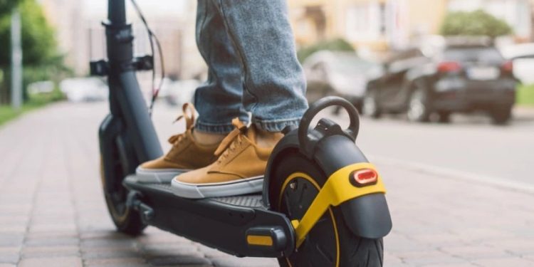 Foto: Shutterstock.com/Wpadington