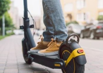 Foto: Shutterstock.com/Wpadington