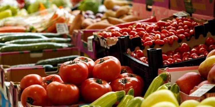 Foto: FOTO TANJUG/JADRANKA ILIĆ