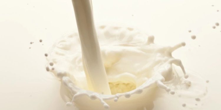 Foto: Shutterstock.com/Valentyn Volkov, ilustracija