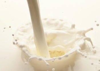 Foto: Shutterstock.com/Valentyn Volkov, ilustracija