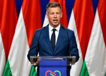 Foto: AP Photo/Denes Erdos