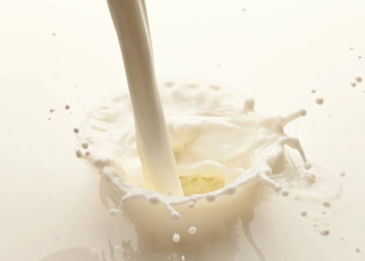 Foto: Shutterstock.com/Valentyn Volkov, ilustracija