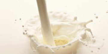 Foto: Shutterstock.com/Valentyn Volkov, ilustracija