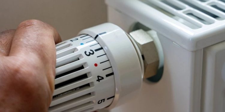 Foto: Shutterstock.com/ Frank Lambert, ilustracija