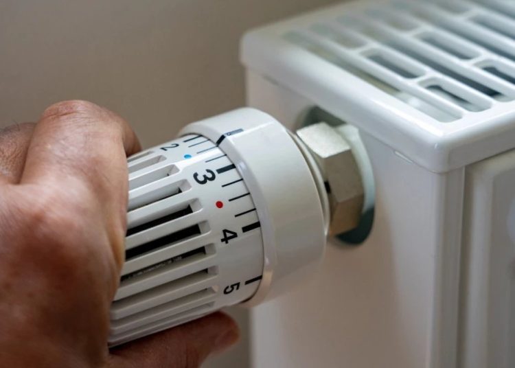 Foto: Shutterstock.com/ Frank Lambert, ilustracija