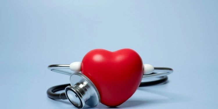 Foto: Shutterstock.com/19 STUDIO