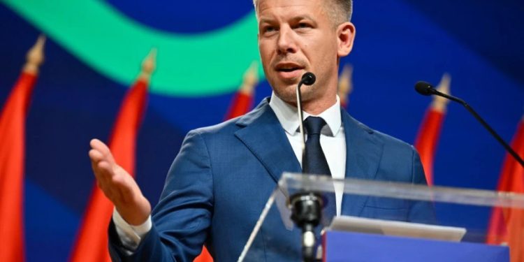 Foto: AP Photo/Denes Erdos