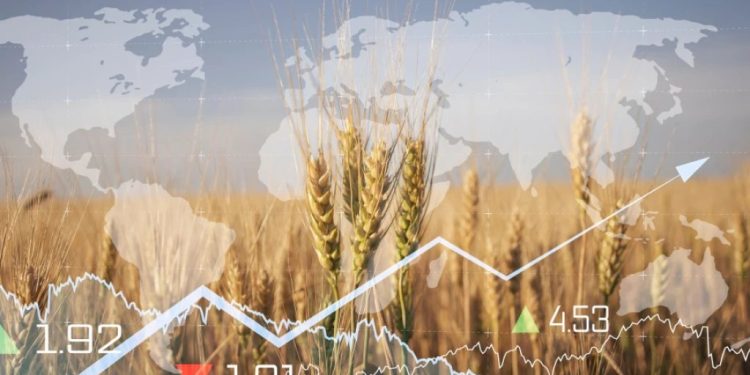 Foto: Shutterstock.com/Leonid Sorokin