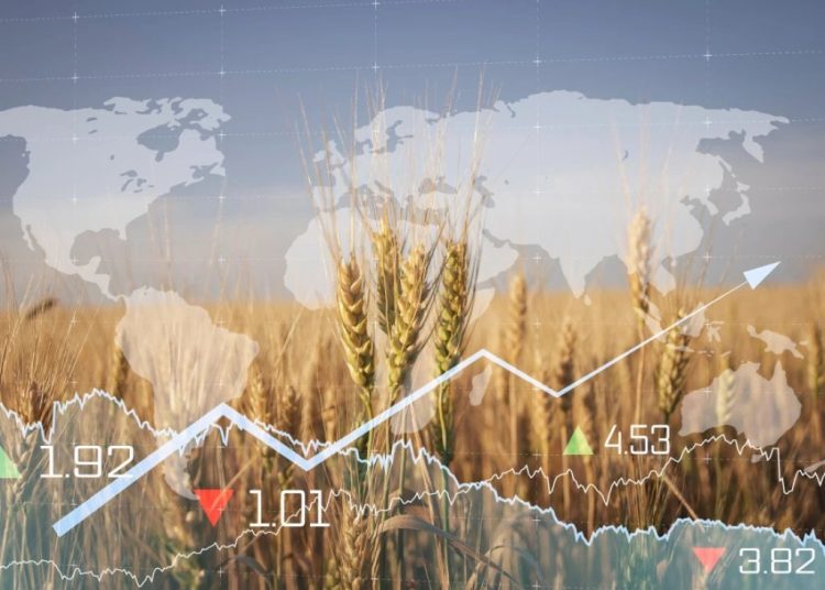 Foto: Shutterstock.com/Leonid Sorokin