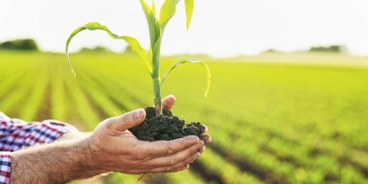 Foto: Shutterstock.com/ZoranOrcik, ilustracija